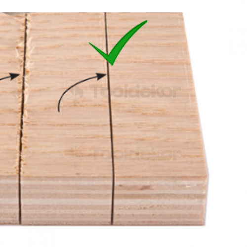 Пильный диск 350x30x3,2/2,2 Z=24 ATB продол рез по древесине, защита отдачи PROCUT 736.3503024.ECO