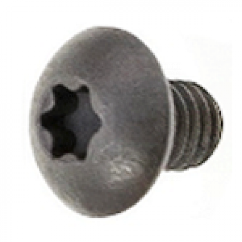 Винт для фрез M4x6 L8. калёный. шляпка грибок. Torx Rotis 963.M41